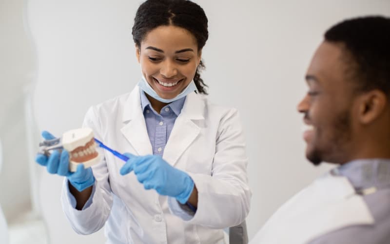 A dentist demonstrating correct brushing technique on a model of the teeth to a seated patient